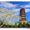Отель Tan Hui Hotel, фото 16