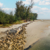 Отель Dugong Village-Green Hotel, фото 12
