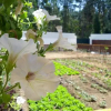 Отель Quinta das Orquídeas, фото 22