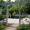 Отель Rosemary House Bed and Breakfast, фото 10