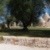 Отель Trullo La Specchia, фото 24