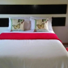 Отель Shakawe Sands Lodge, фото 28