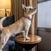 Отель 116, A Coast Hotel Bellevue, фото 16