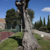 Отель Villa Laura Fattoria Di Larniano, фото 28