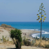 Отель Apt 322 Heaven Beach Apartments, Guadalmansa Playa, фото 25