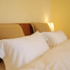 Отель No.1 Wenlin Garden Hotel, фото 5