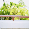 Отель Room in B&B - Deluxe Family Budget Balcony Room With Pool Playacar Ii, фото 2