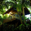 Отель Dorado Beach, a Ritz-Carlton Reserve, фото 43