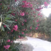Отель Villa Gold, фото 8