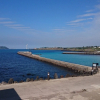 Отель Jeju  JYP, фото 11
