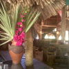 Отель Barefoot Beach Camp, фото 26