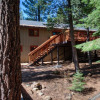 Отель The Perfect Pine House in Truckee by RedAwning, фото 1