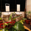 Отель Sunset Homestay 2, фото 9