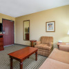 Отель Holiday Inn Express Hotel & Suites Enid - Highway 412, an IHG Hotel, фото 4