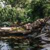 Отель Iron Kettle Bed and Breakfast, фото 26