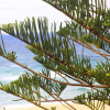 Отель Orizzontemare Beachside Suites, фото 23