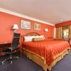 Отель Americas Best Value Inn & Suites Alvin Houston, фото 3