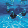 Отель Dreams Sapphire Resort & Spa - All Inclusive, фото 34
