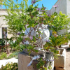 Отель Giardino Frannicola, фото 23