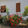Отель House With 3 Bedrooms in Lacona, With Furnished Terrace - 100 m From t, фото 1
