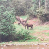 Отель Moon hill munnar, фото 16