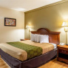 Отель Econo Lodge, фото 6