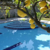 Отель Villa Martha Hotel, фото 11