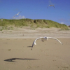 Отель Luring Holiday Home in Callantsoog near Sea, фото 20