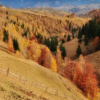 Отель Samedru, фото 25