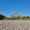 Отель Seaside Retreat w Hot Tub Sauna and Bar, фото 1