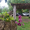 Отель Pousada Mangue Seco, фото 10