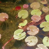 Отель Laguna Encantada, фото 23