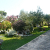 Отель Summer House Toula, фото 1