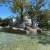 Отель Phalesia Glamping Sapanca, фото 7