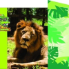 Отель Zooparque Los Caimanes, фото 1