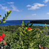 Отель InterContinental Lifou Wadra Bay Resort, an IHG Hotel, фото 18