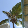 Отель Vistalmar Ocean View Apartments, фото 9