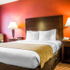 Отель Comfort Inn & Suites, фото 2