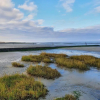 Отель Nordseebrandung-B6-1, фото 20