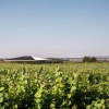 Отель Villas del Malbec Lodge, фото 17
