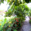 Отель P.K. House Bungalow, фото 13