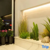 Отель Xinghai Hotel, фото 8