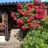 Отель Pleasant Holiday Home in Niedereschach-Kappel with Terrace, фото 22