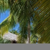 Отель Large 12 000 sq ft 5-bdr Villa for Rent in Cap Cana With Pool Chef Maid, фото 17