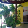 Отель BBB Rooms Stella Maris Salvador BA, фото 15