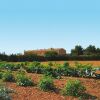 Отель Agroturismo Son Terrades, фото 9