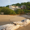 Отель Celeste Beach Residences Huatulco Curamoria Collection, фото 12