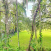 Отель Quiet Tampa Studio: 5 Mi to Raymond James Stadium!, фото 15