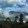 Отель Fort Munnar, фото 22