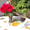 Отель B&B Achter de Sterren, фото 6